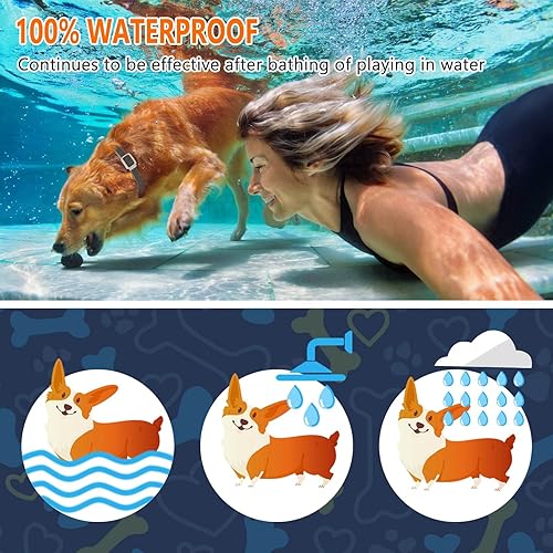 Miniatura 4 de Collar antipulgas para perros y gatos, collar de pulgas y garrapatas para perros, collar para pulgas y garrapatas de mascotas para perros y gatos