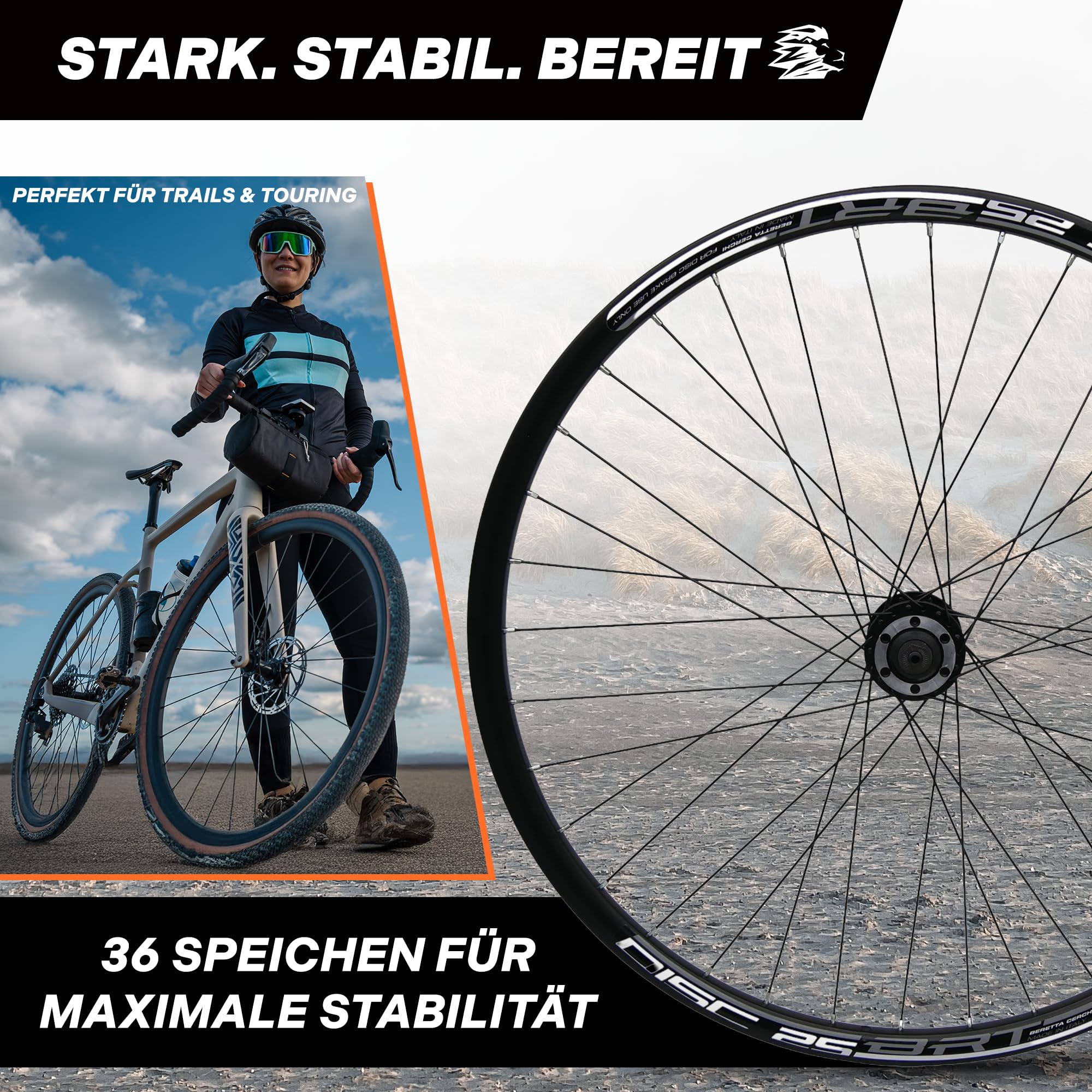 MTB Hinterrad 29 Zoll Fahrrad Laufrad – Scheibenbremse 6-Loch – QR 9/10×135 – Shimano HG 8–11-Fach – Alu Felge & Nabe – 36 Speichen – Schwarz – LOEVELOSI