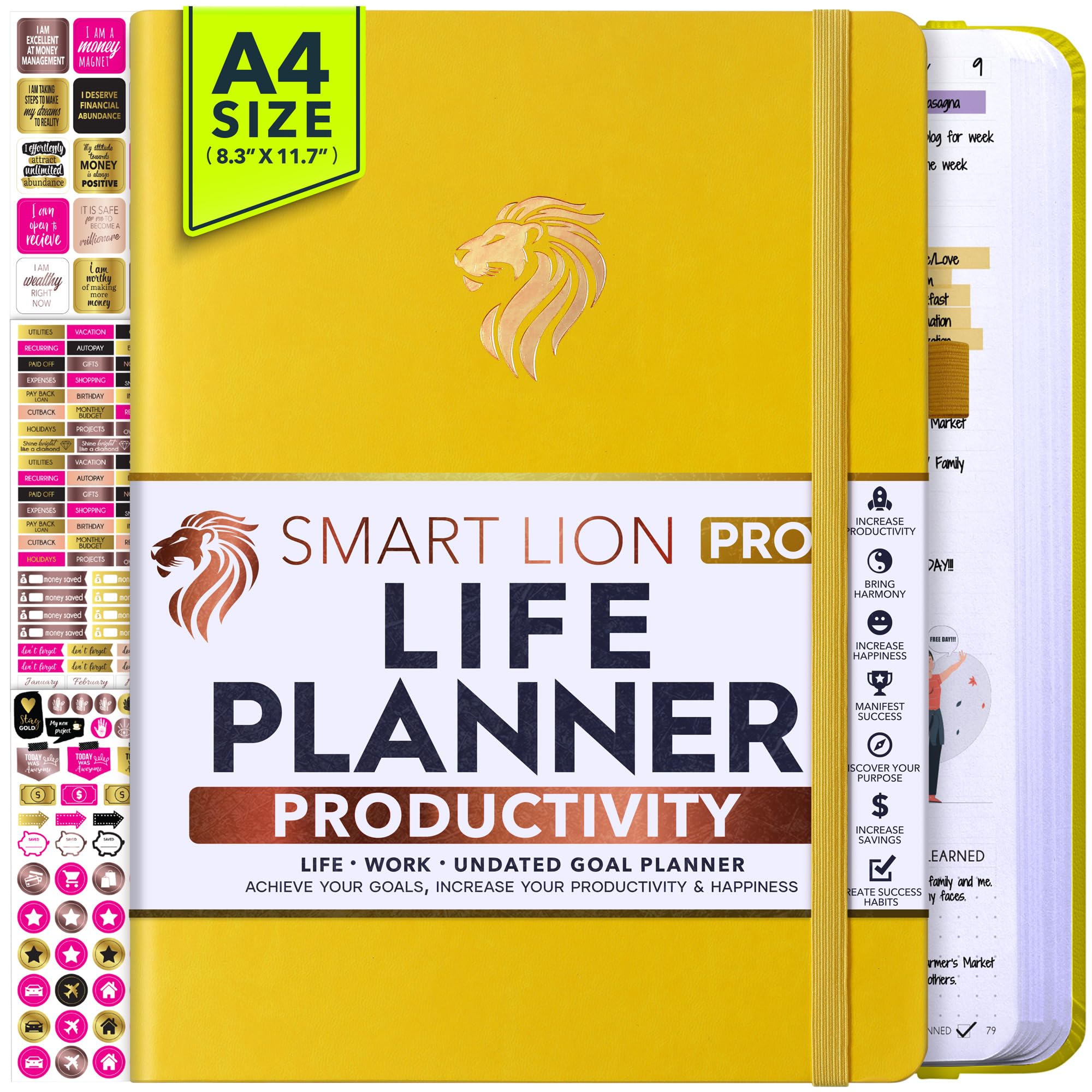 Undated Daily Weekly &amp; Monthly Planner with Budget Section