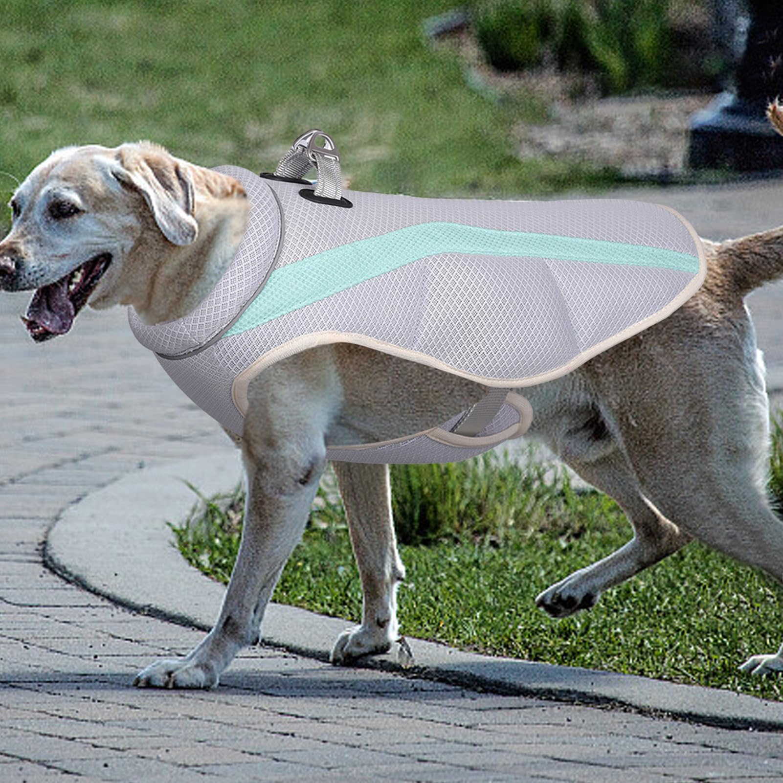Gilet rafraîchissant d'été pour chien, chemise légère et rafraîchissante pour chien, en microfibre par évaporation, convient pour les chiens de taille moyenne et grande (XXL)