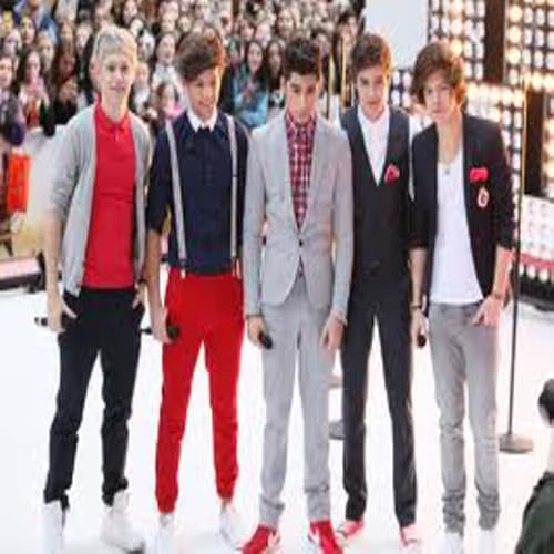 One Direction Video Diary app