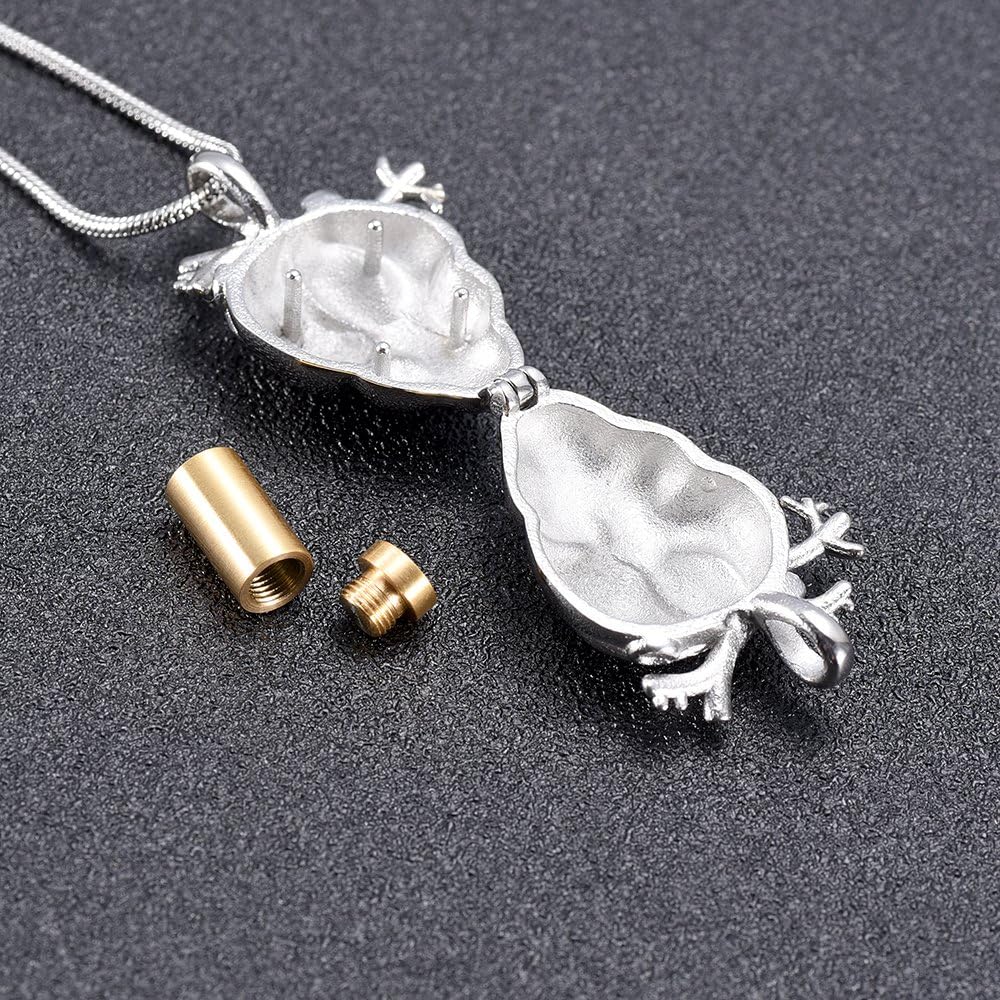 Urn Necklace for Ashes Anatomical Heart Cremation Jewelry for Ashes Holder Stainless Steel Ashes Pendant for Women Men Keepsake Memorial for Jewelry Gifts - Image 7