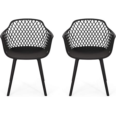 Christopher Knight Home Delia Outdoor Dining Chair (Set of 2), Black