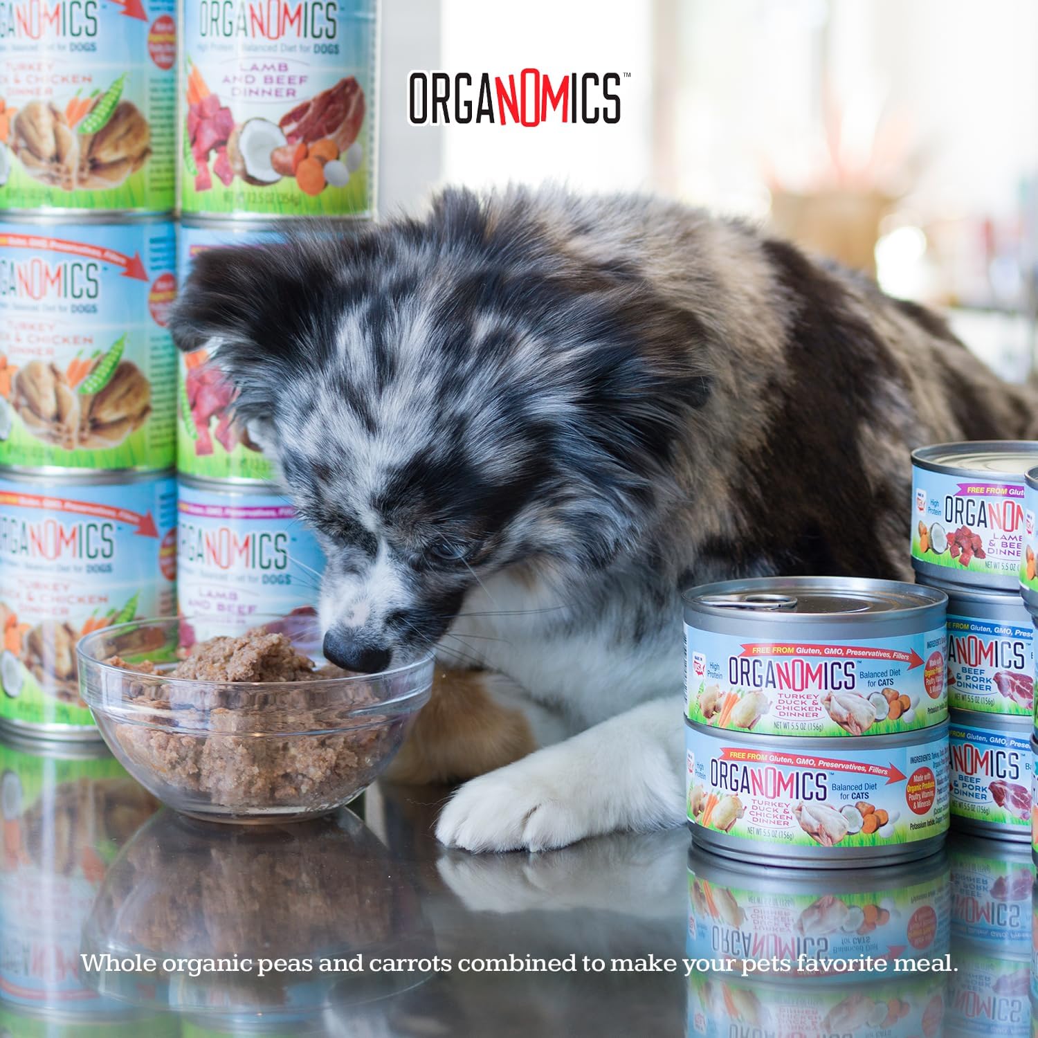 Organomics Food Dog Flavor Salmon Duck 12.5 oz (Pack of 12)