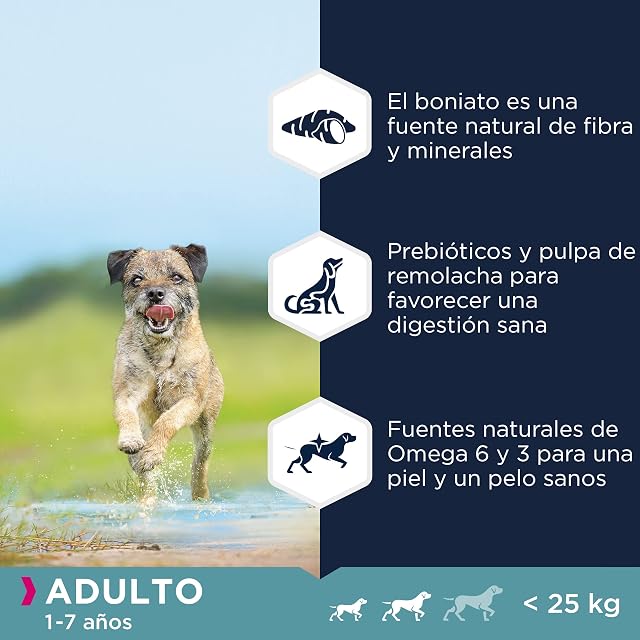 Foto 4 de 7 de EUKANUBA Grain Free, Alimento para Perros Adultos de Razas Pequeñas y Medianas, Rico en Pollo, 12kg