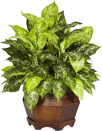 Nearly Natural Dieffenbachia abigarrada con planta de seda hexagonal grande