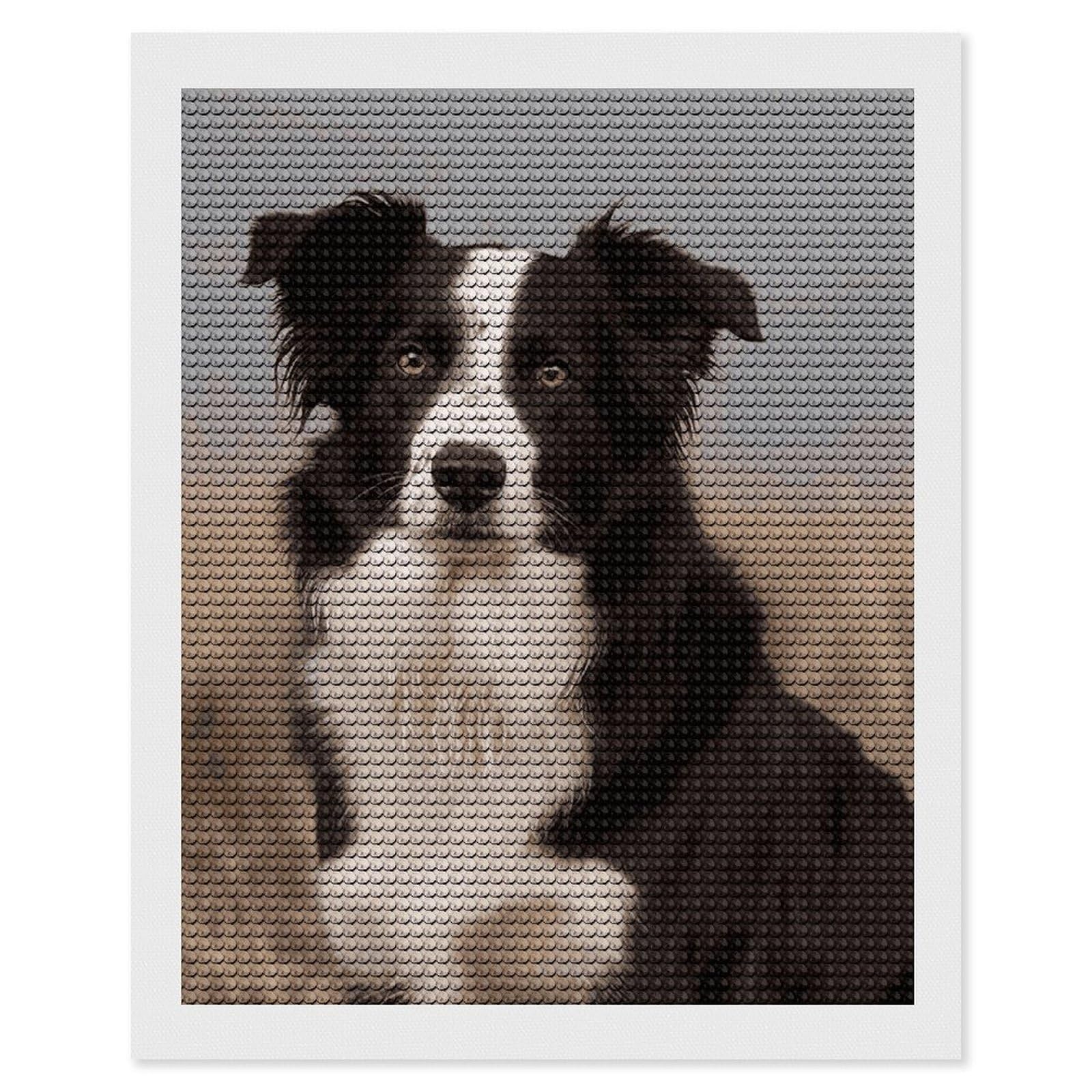 DWVTSLH Border Collie Diamond Painting Kits for Adults, Personalized Diamond Photo Art Full Drill, DIY 5D Diamond Art Painting Kits for Beginners, Home Wall Decor 16"x20"