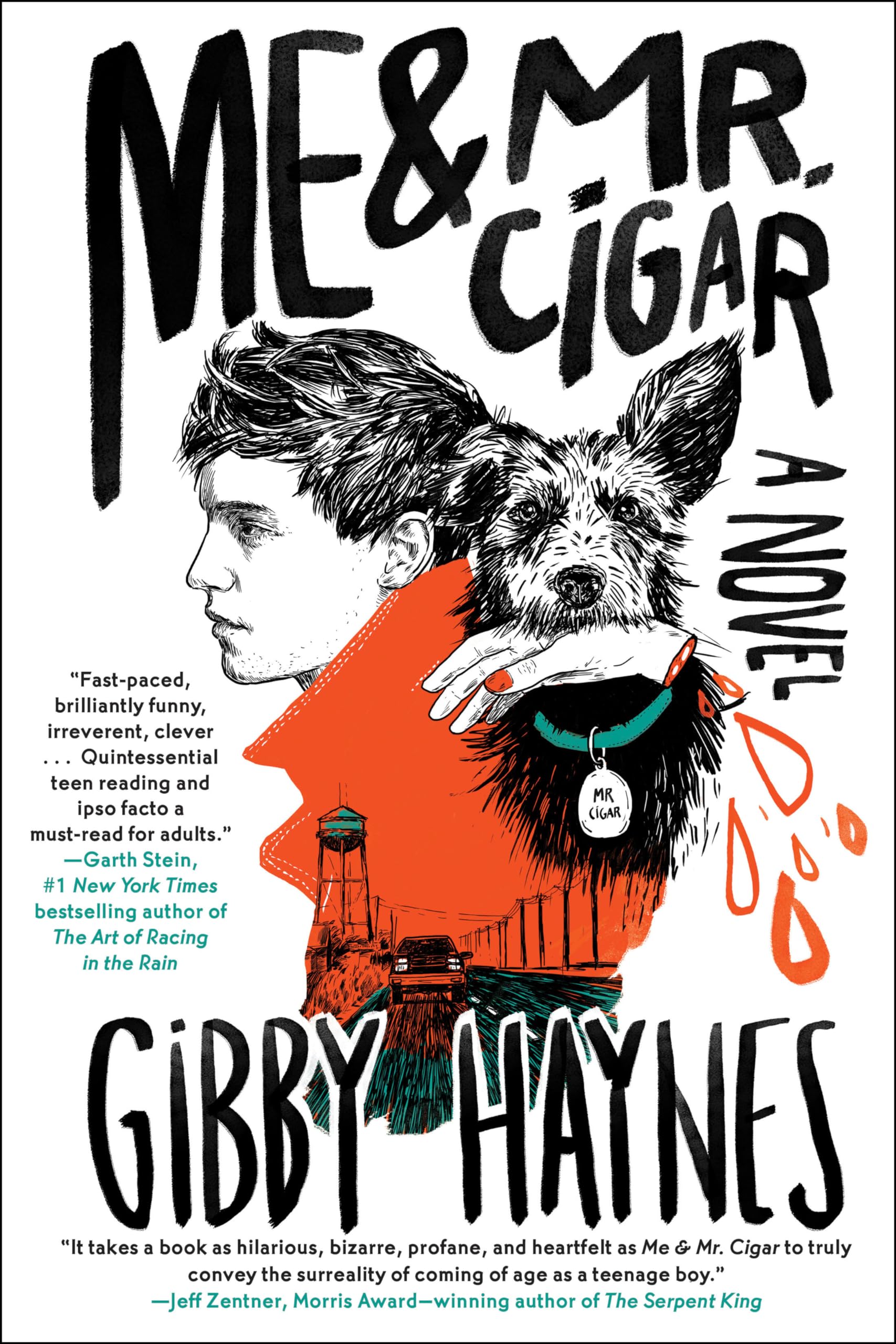 Me & Mr. Cigar - 9781616958121, hardcover, Gibby Haynes