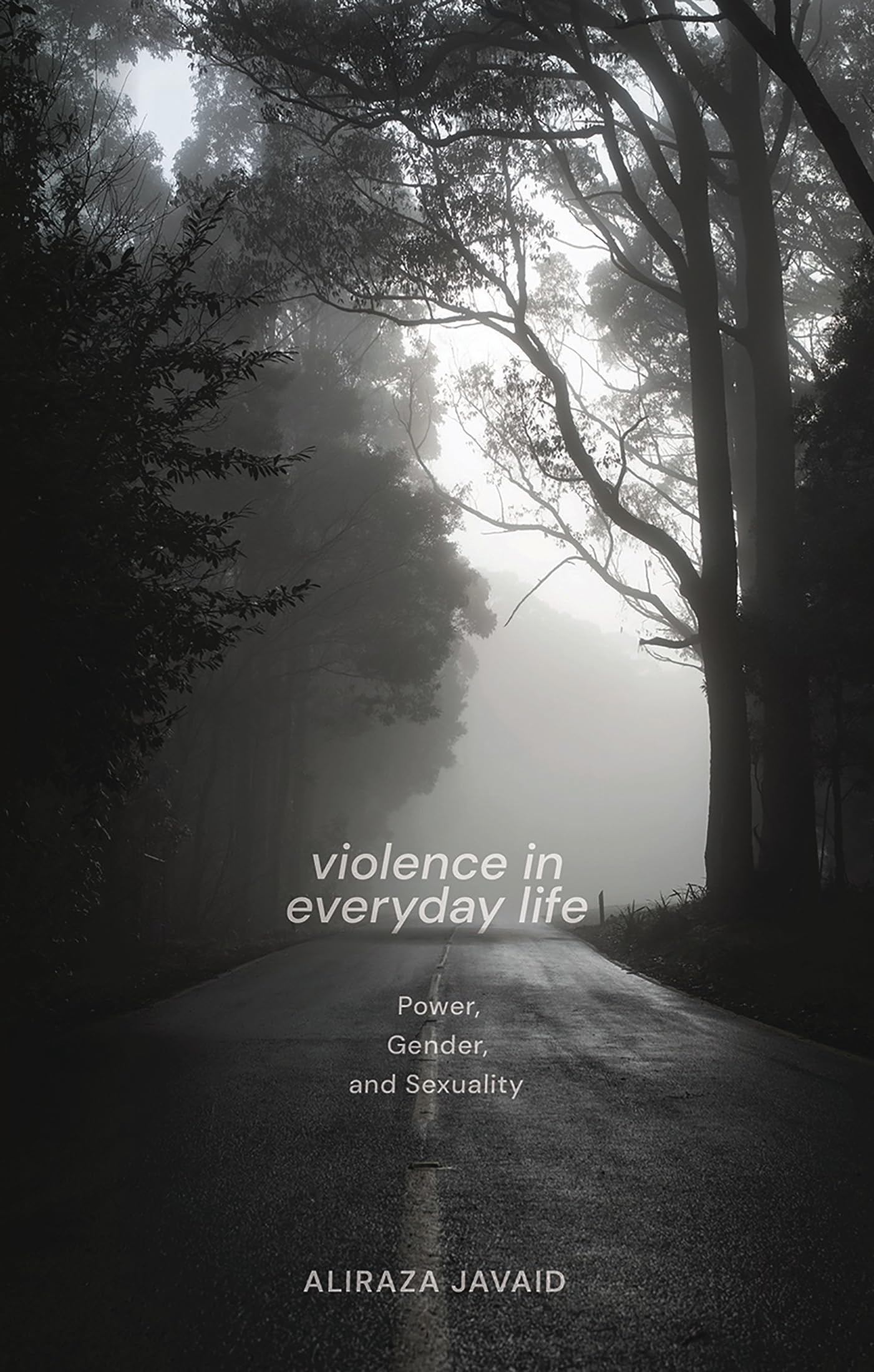 Buy Violence in Everyday Life: Power, Gender and Sexuality — BookShops.in