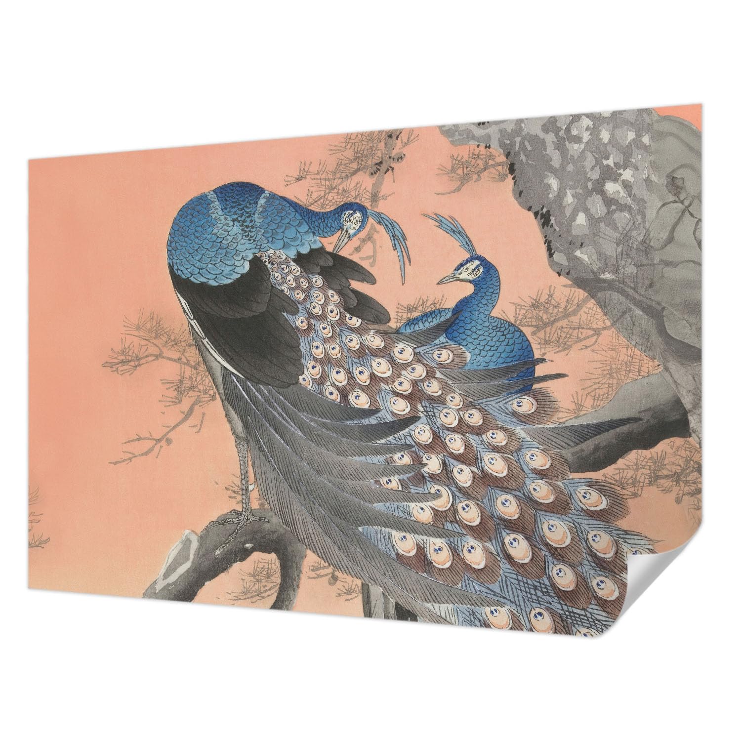 Papel pintado vintage autoadhesivo Tulup 152x104 cm con diseño de pavo real moderno para pared