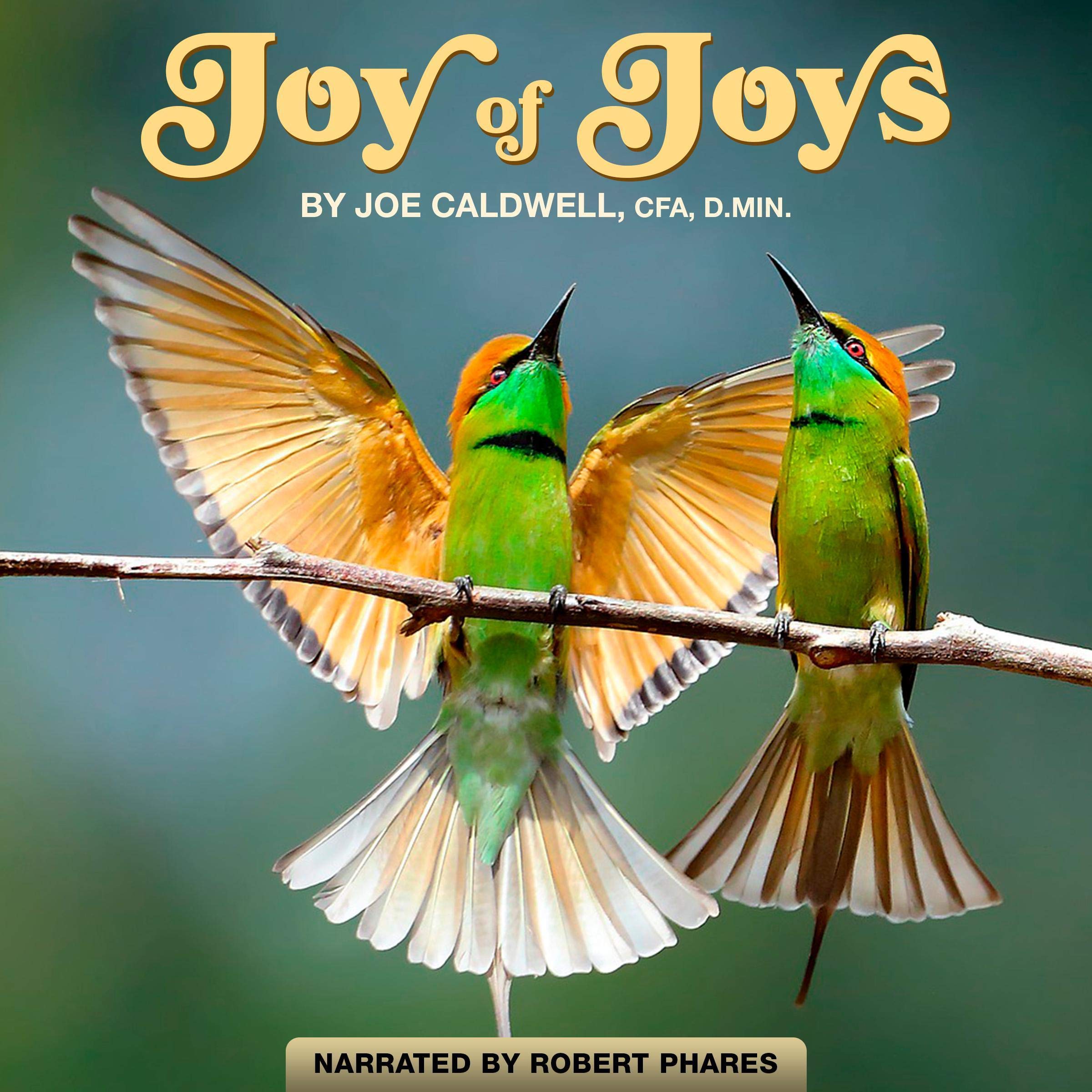 Joy of Joys