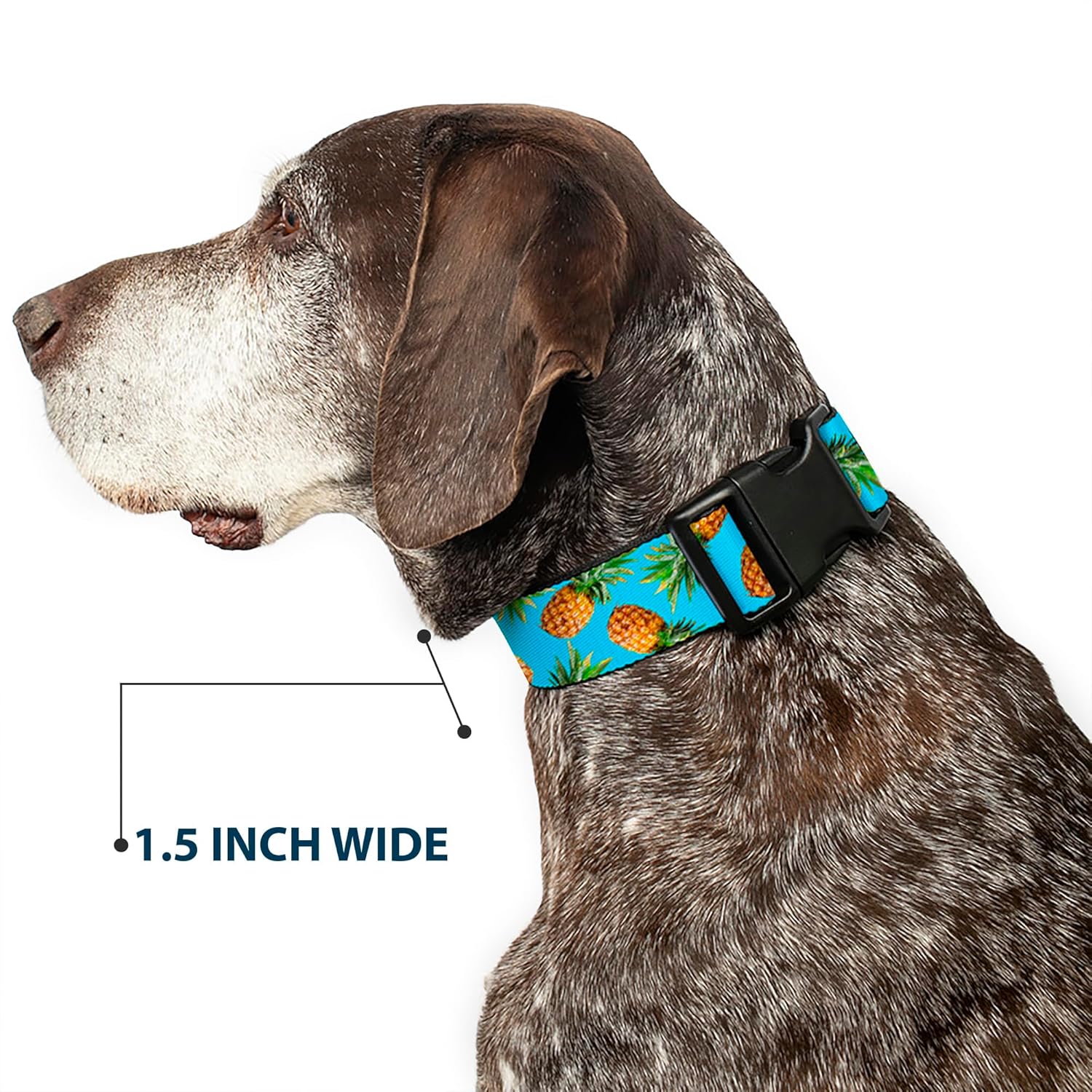 Buckle-Down PC-W32226-WM Plastic Clip Collar, Pineapples, 1.5" Wide-Fits 16-23" Neck-Medium