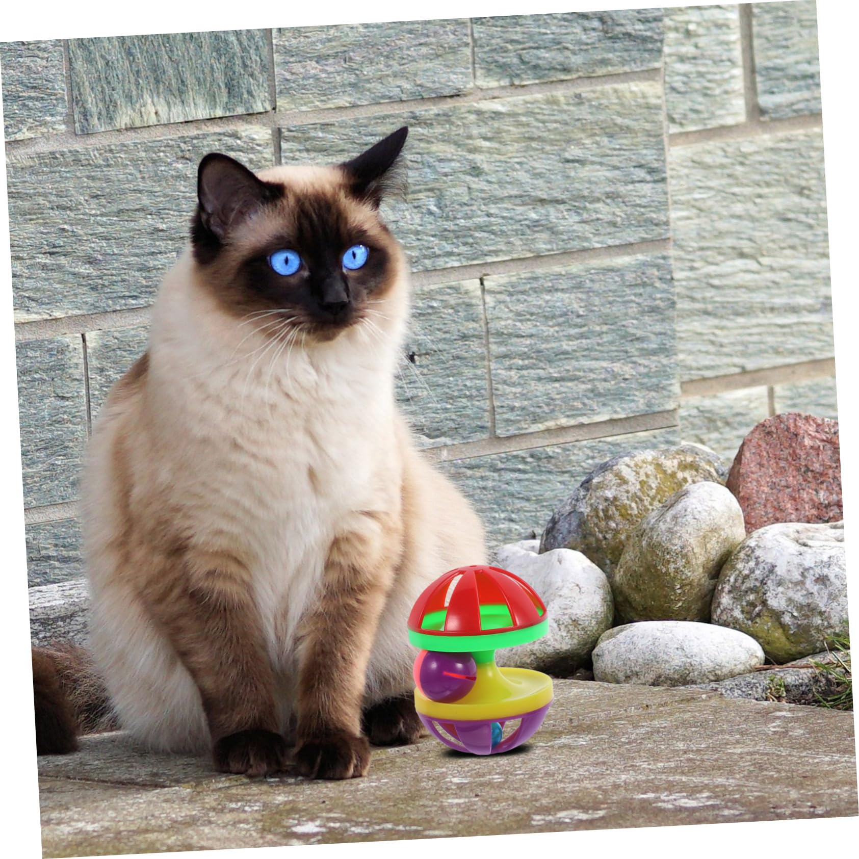 Happyyami 12stücke Katzenballspielzeug Mit Glocken Interaktive Kunststoffspielzeuge Für Katzen Lustige Und Farbenfrohe Ballspielzeuge Für Haustiere Für Spiel Und Beschäftigung