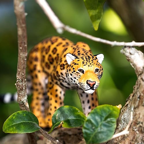 Miniatura 7 de Safari Ltd. Figura de Jaguar – Figura de modelo de juguete realista pintada a mano – Juguete divertido y educativo para niños, niñas y niños a