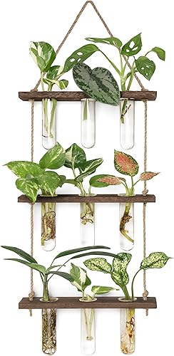 Miniatura 32 de Mkono Tubos de propagación de plantas, terrario colgante de pared de 3 niveles con soporte de madera, mini tubo de ensayo, florero de flores, Marrón