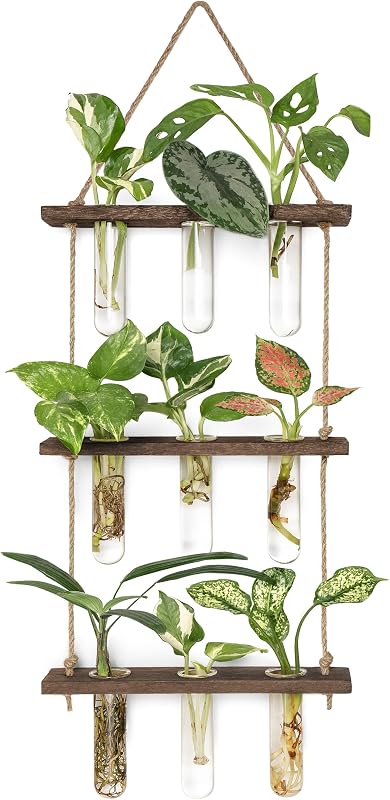 Plant Propagation Station, 3 Tier Small Brown Wall Hanging Vase Tubes | Glass Terrarium Planter,Wooden Stand,for Hydroponic Cuttings Flowers,Bathroom Living Room Office Decor,Plant Lovers Gift