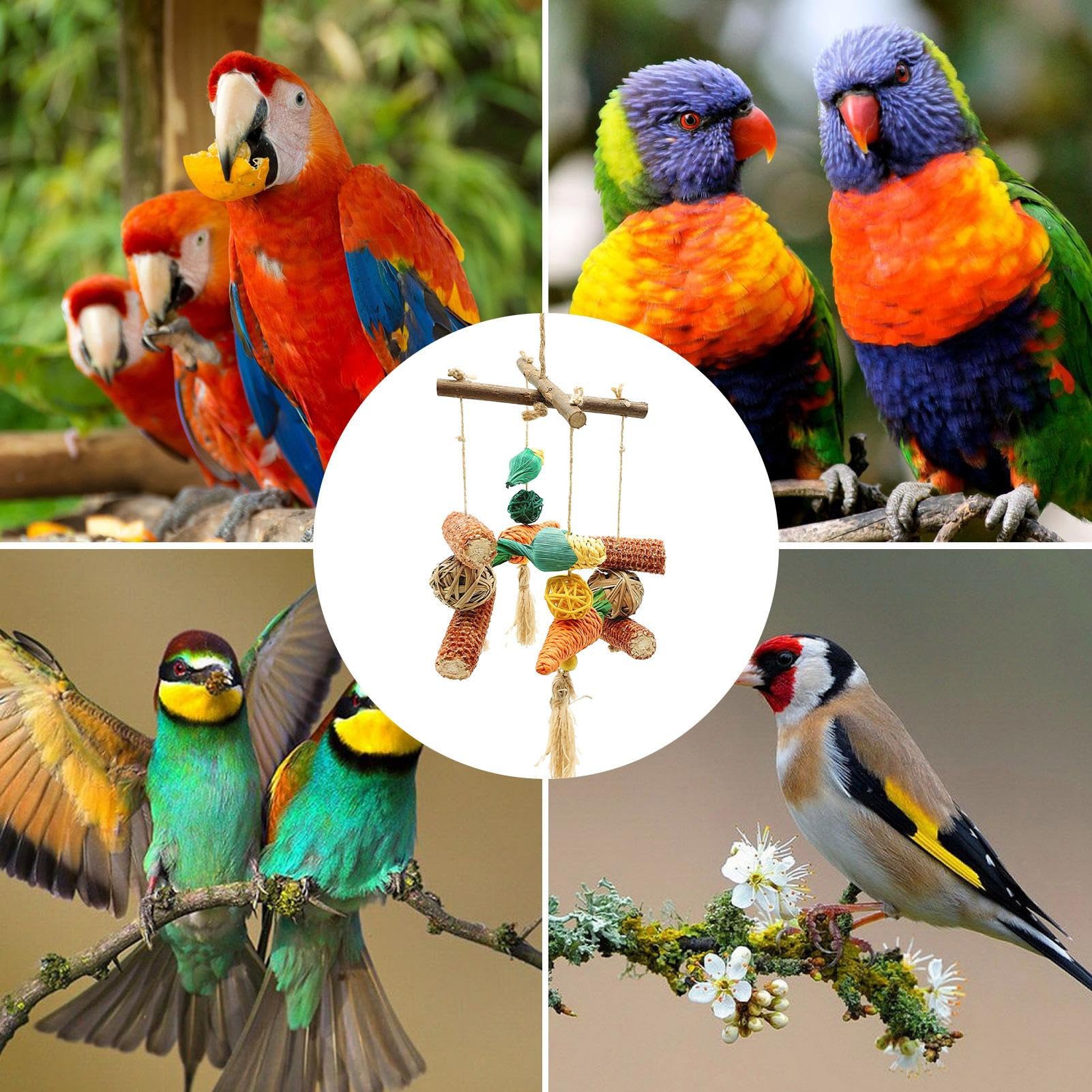 Amazon.co.jp: インコのおもちゃ - 大型オウムのおもちゃ オウムの採餌