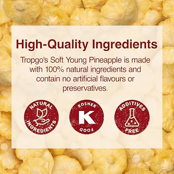 Tropgo Soft Young Dried Pineapple 120g – Tasty, Healthy Snacks for Kids & Adults, Natural Dried Fruit in Resealable Bag - Guilt-Free Snack, No Artificial Flavours, On-the-Go Fruit Snack