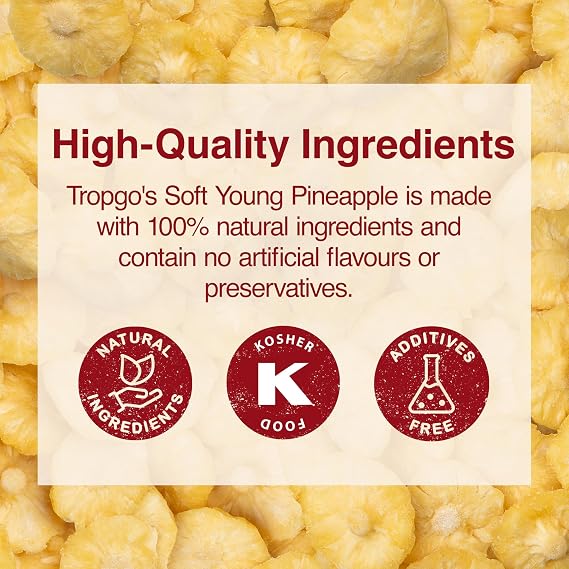 Tropgo Soft Young Dried Pineapple 120g – Tasty, Healthy Snacks for Kids & Adults, Natural Dried Fruit in Resealable Bag - Guilt-Free Snack, No Artificial Flavours, On-the-Go Fruit Snack