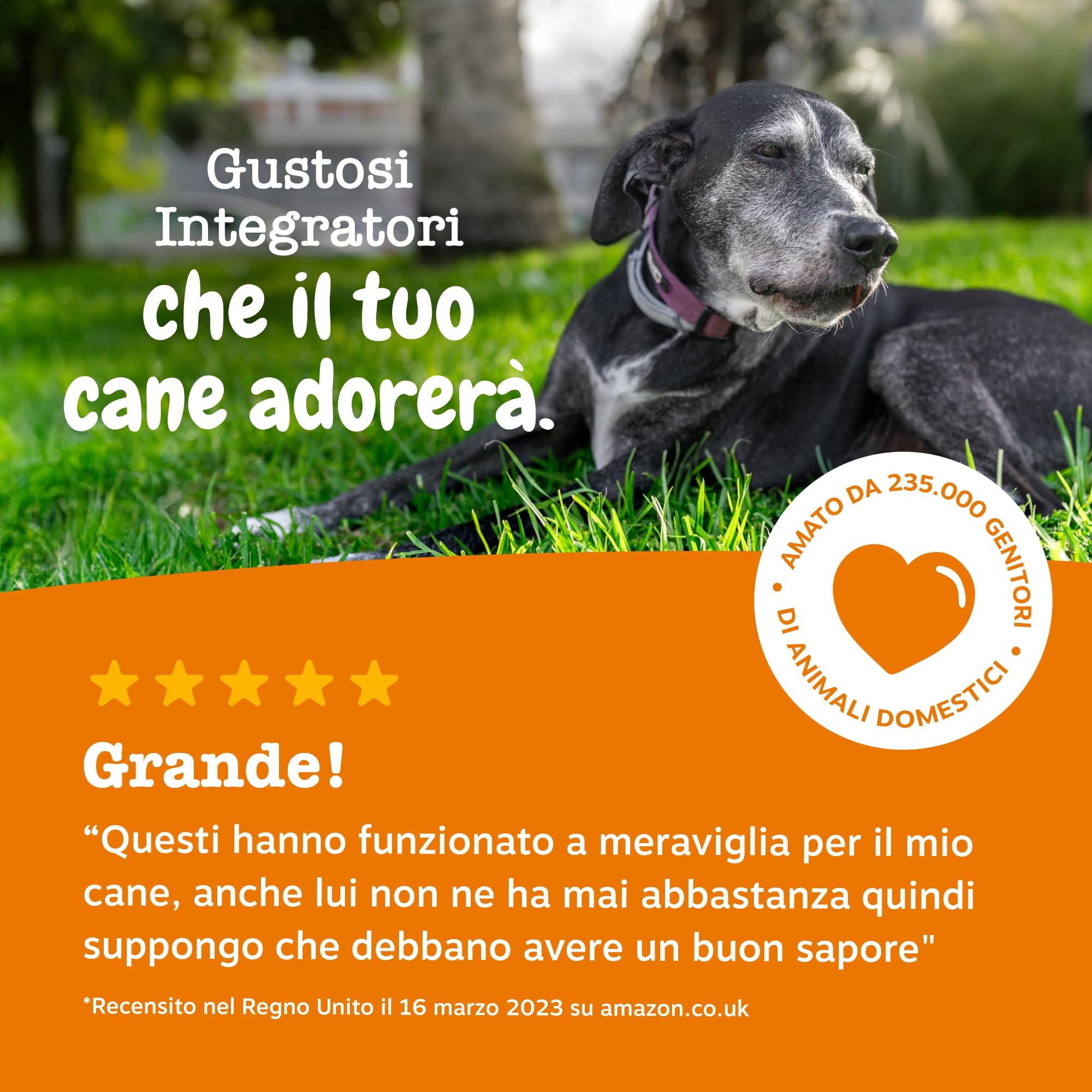 Zesty Paws Hip & Joint per Cani – Supporto Mobilità, Flessibilità Articolare, Articolazioni Rigide e Cartilagine – con Glucosamina, Condroitina e Cozza Verde – 90 Bocconcini