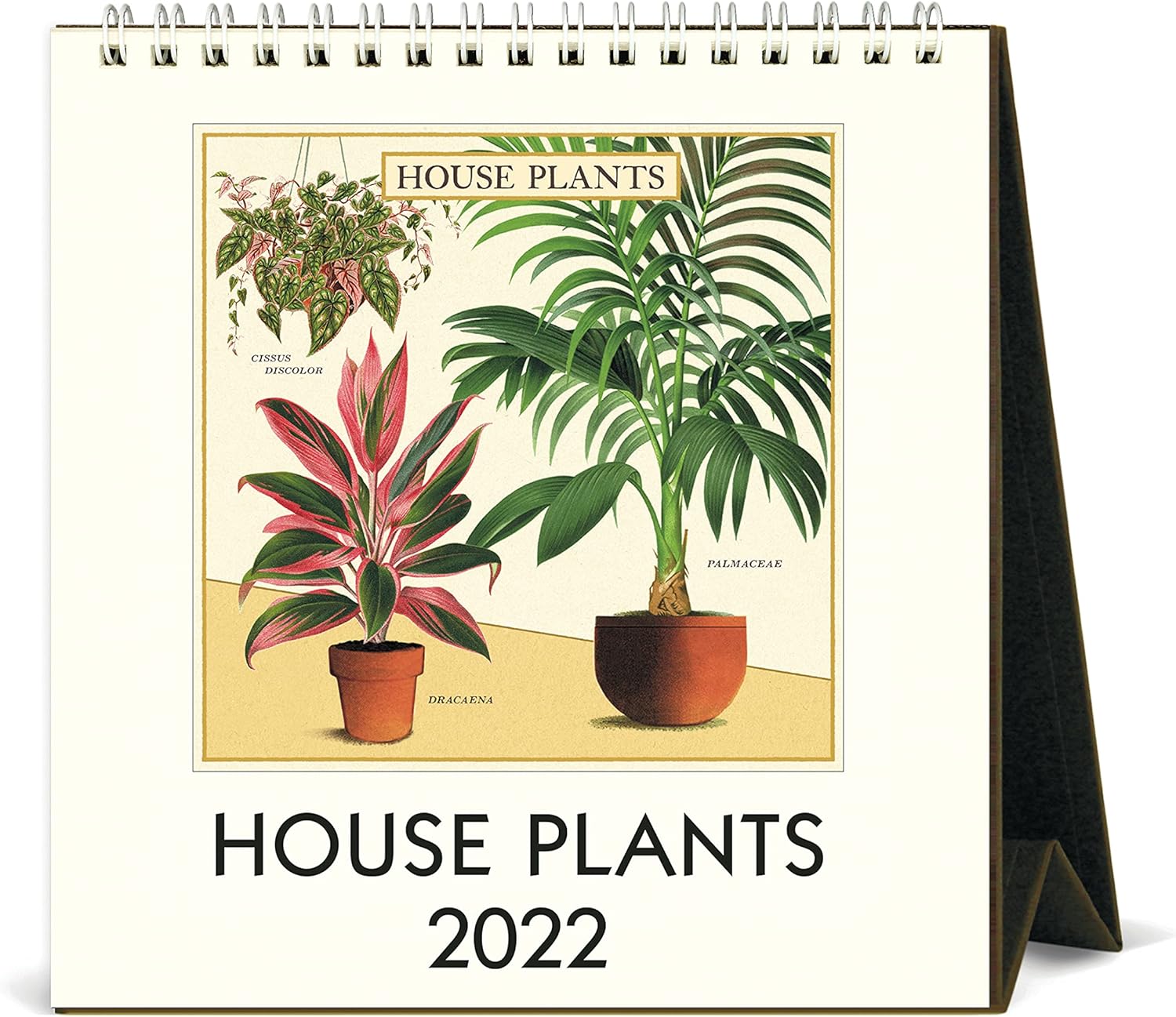Cavallini 2022 Desk Calendar, Vintage Houseplants Posters