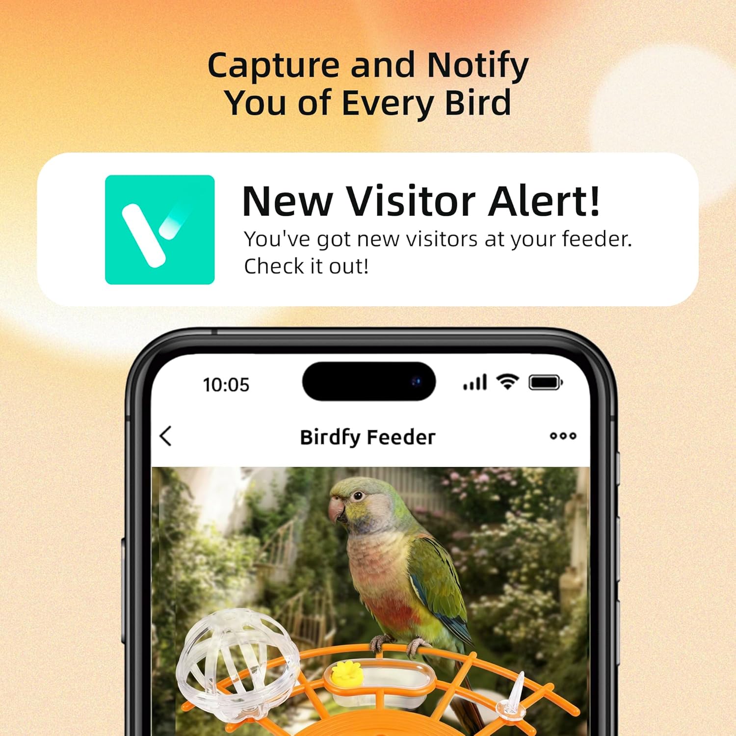 Bird Feeder with Camera,AI Identify Birds Species,Solar Powered,Auto Record Videos in Backyard,Instant Notifications,Ideal Gift for Family and Bird Lovers (Orange)