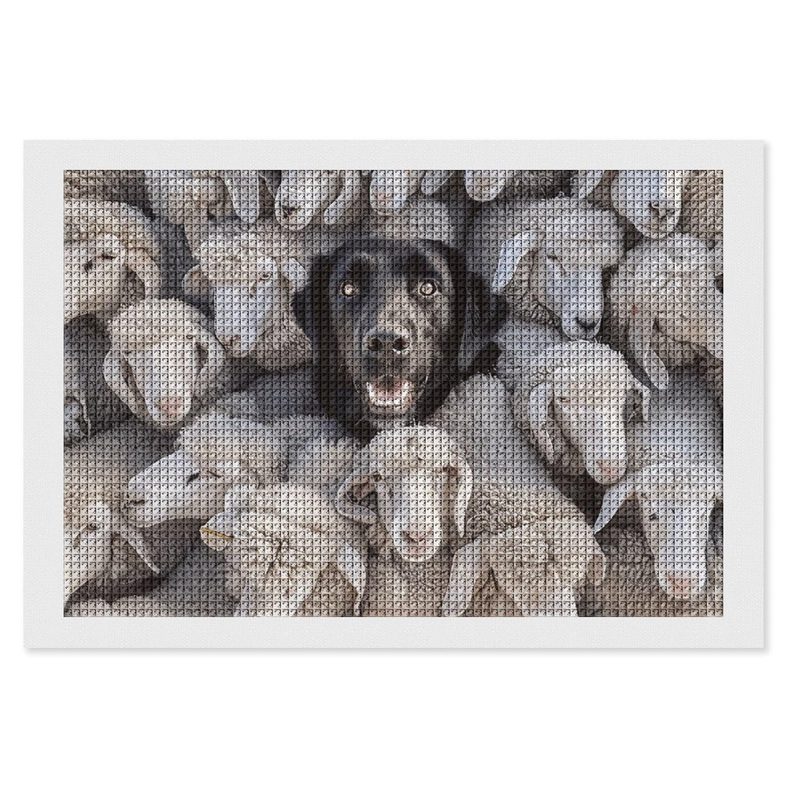 NONHAI Diamond Painting Kits for Adults - DIY Diamond Art Kits for Beginners - Full 5D Paint Drill Diamond Dots Paintings- Sheep and Dogs Diamonds Pictures Gem Art and Craft Wall Decor 8"x12"