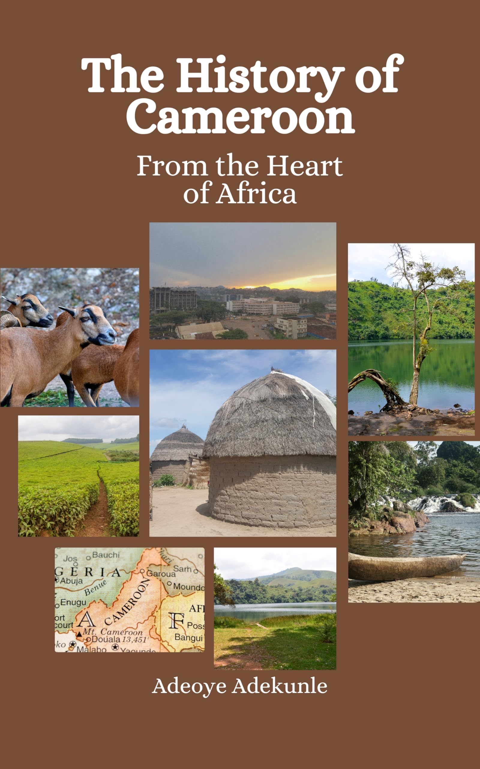 The History of Cameroon: From the Heart of Africa