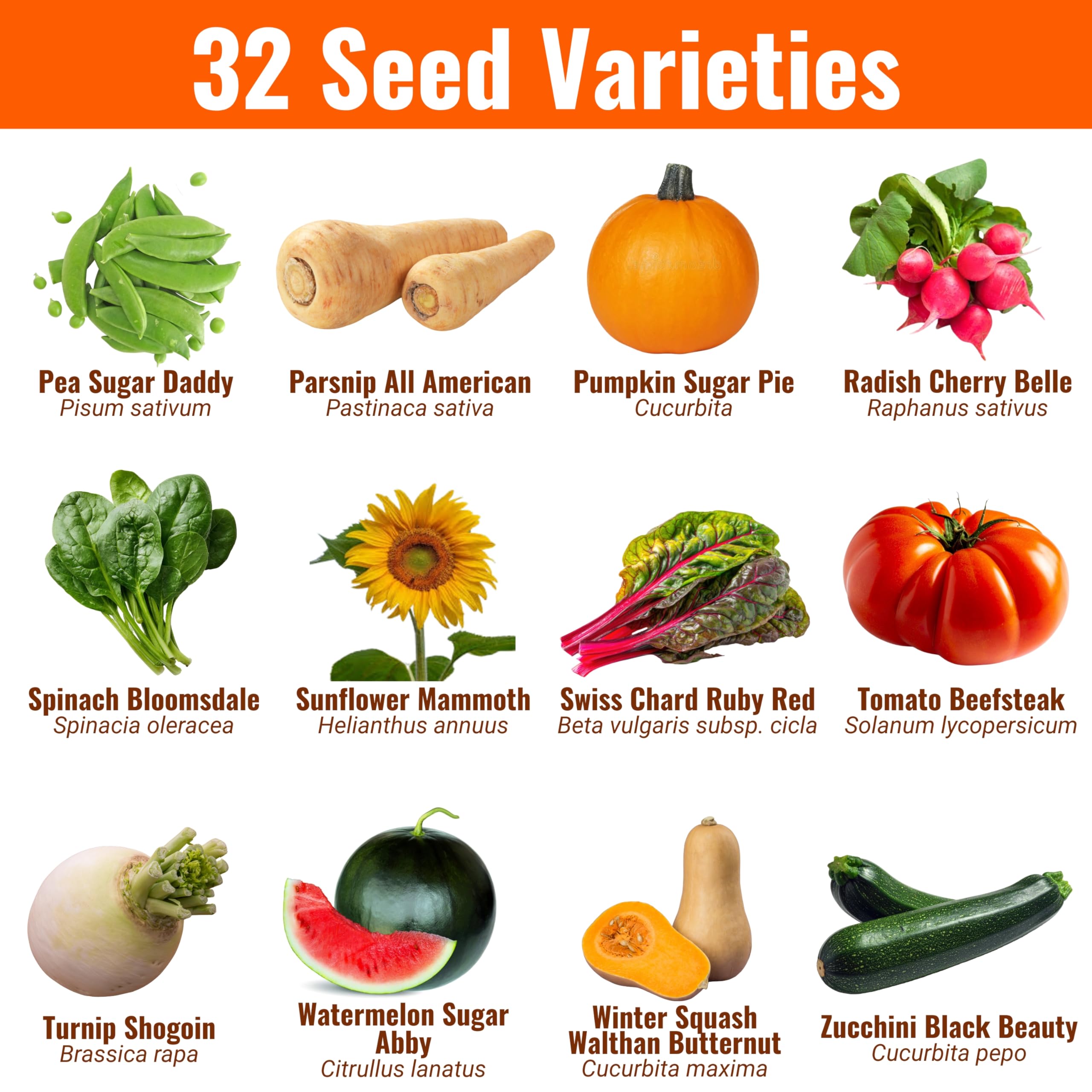 32 Vegetable Seeds - Grow Your Own! -3 32 Vegetable Seeds - Grow Your Own! -3