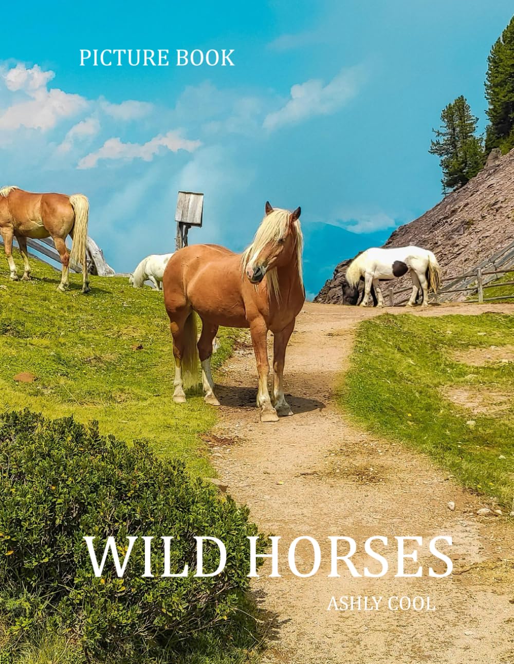Wild horses: Exploring Wild Horses: A Visual Journey Through Nature’s Majestic Free Spirits