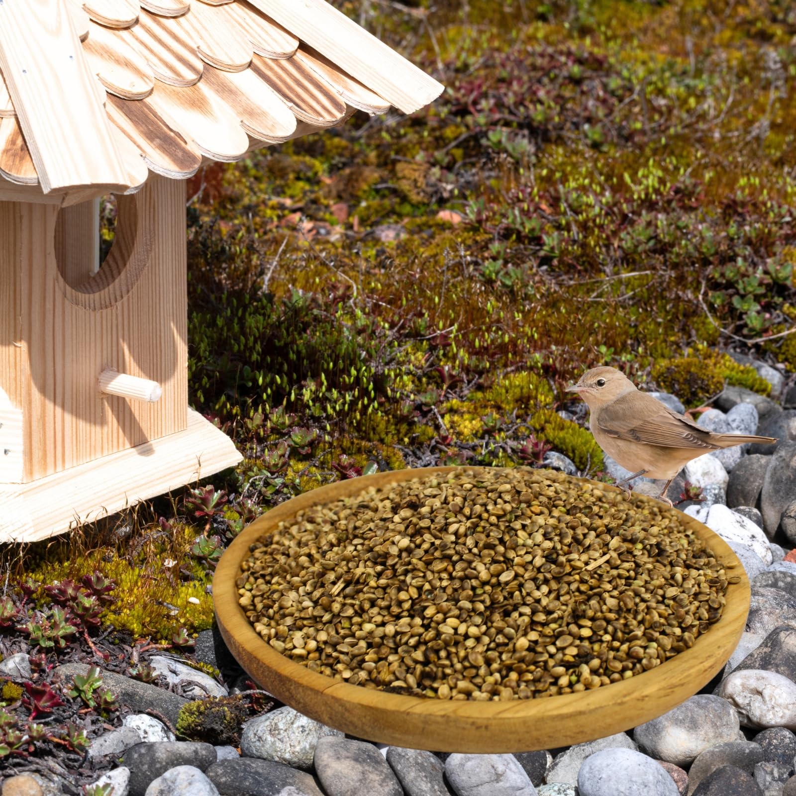 Lyra Pet® 20 kg Hanfsamen - Futter für Wildvögel, Pferde & Nager | Reich an Proteinen & Omega-3-Fettsäuren - Ballaststoffreich & Nährstoffreich - Ganzjähriges Vogelfutter - Ideal als Ergänzung