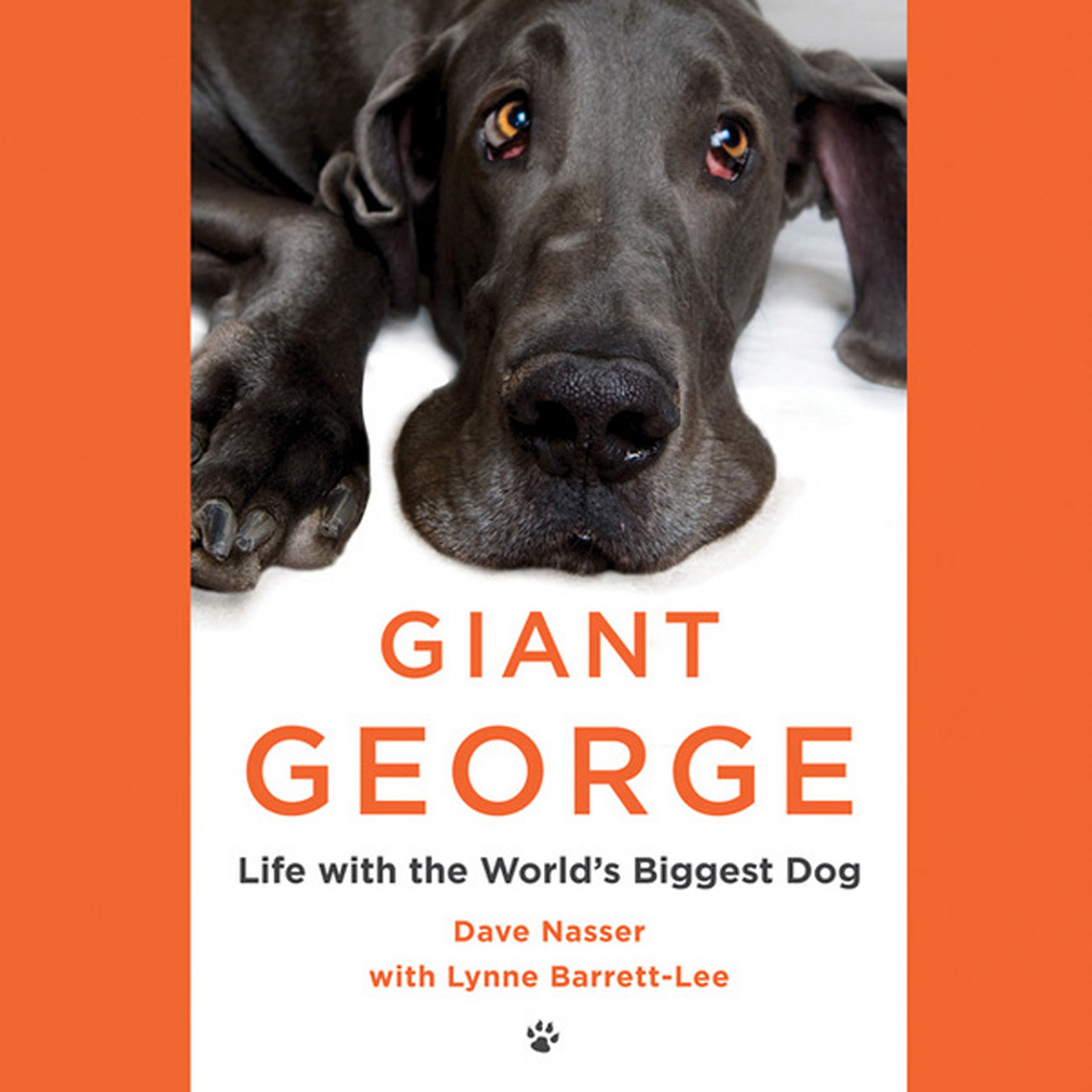 Cover art for Giant George