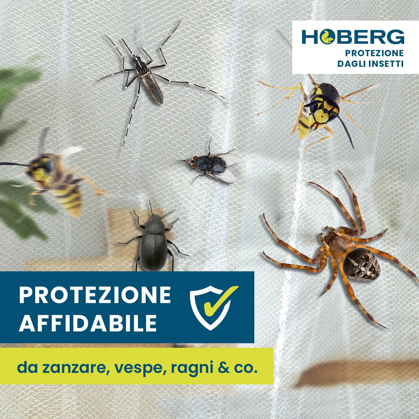 HOBERG Zanzariera da viaggio | XXL per lettini, letti singoli e matrimoniali | Zanzariera da esterno 400 mesh per balconi | Cupola protettiva contro gli insetti da incollare o avvitare - Ø 60 cm