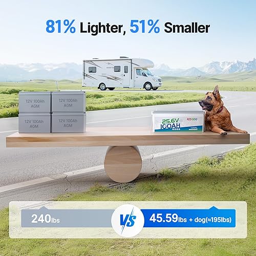 Miniatura 4 de Redodo Batería LiFePO4 de 24 V 100 Ah, salida de potencia máxima de 2560 W, BMS de 100 A, 4000-15000 ciclos profundos y vida útil de 10 años,