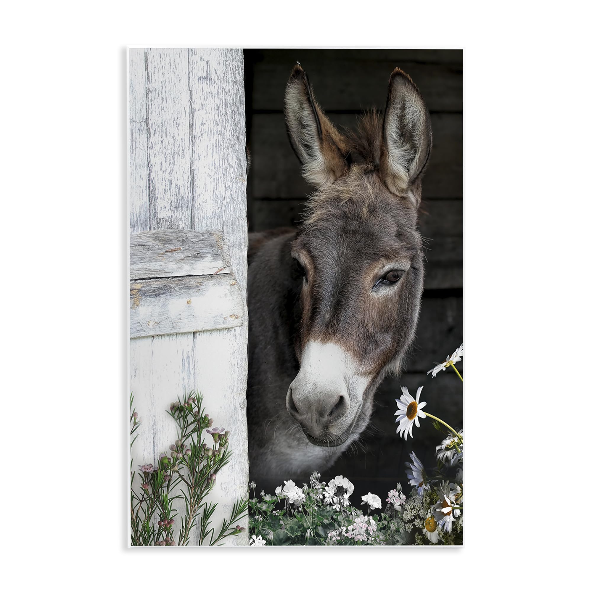 Stupell Industries Unframed Gentle Donkey Barnside, 13 X 19 Inch Mounted Print On Wall Plaque