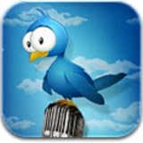 isradeveloper46