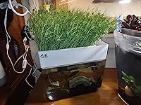 Review Image by Michael Michael