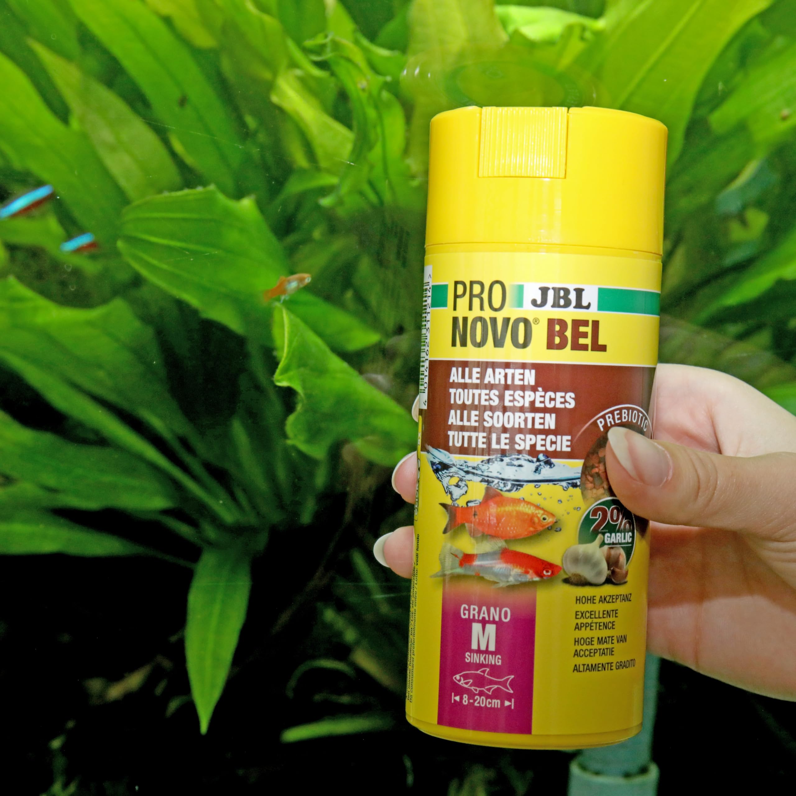 JBL PRONOVO BEL GRANO, Aliment de Base pour tous Poissons d'Aquarium de 8-20 cm, Granulés pour Poissons, Doseur à clic, taille M, 250 ml