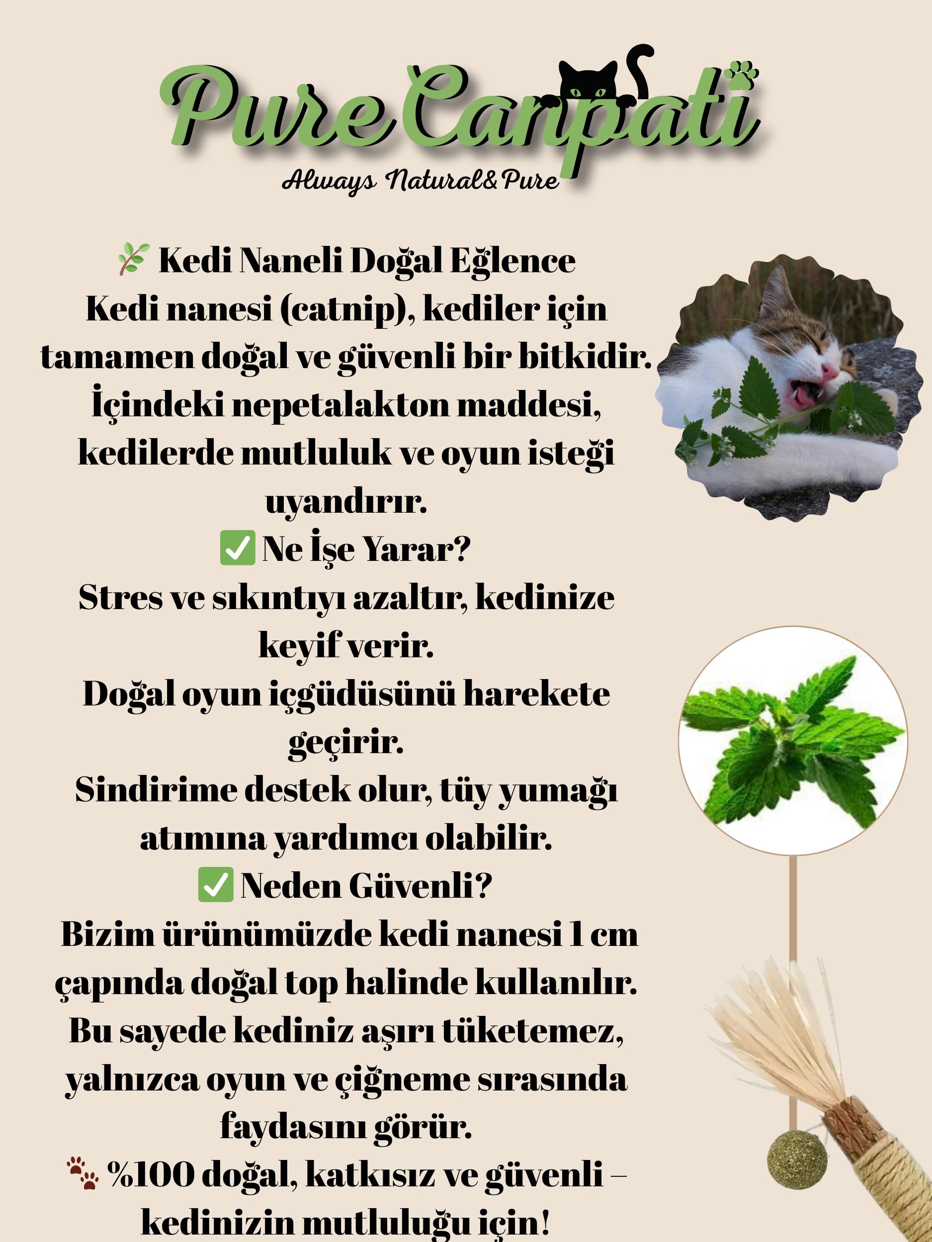 PURECANPATİ Kedi Naneli Matatabi Çubuğu– Kediler Için Doğal Oyun ve Mutluluk 3 Adet