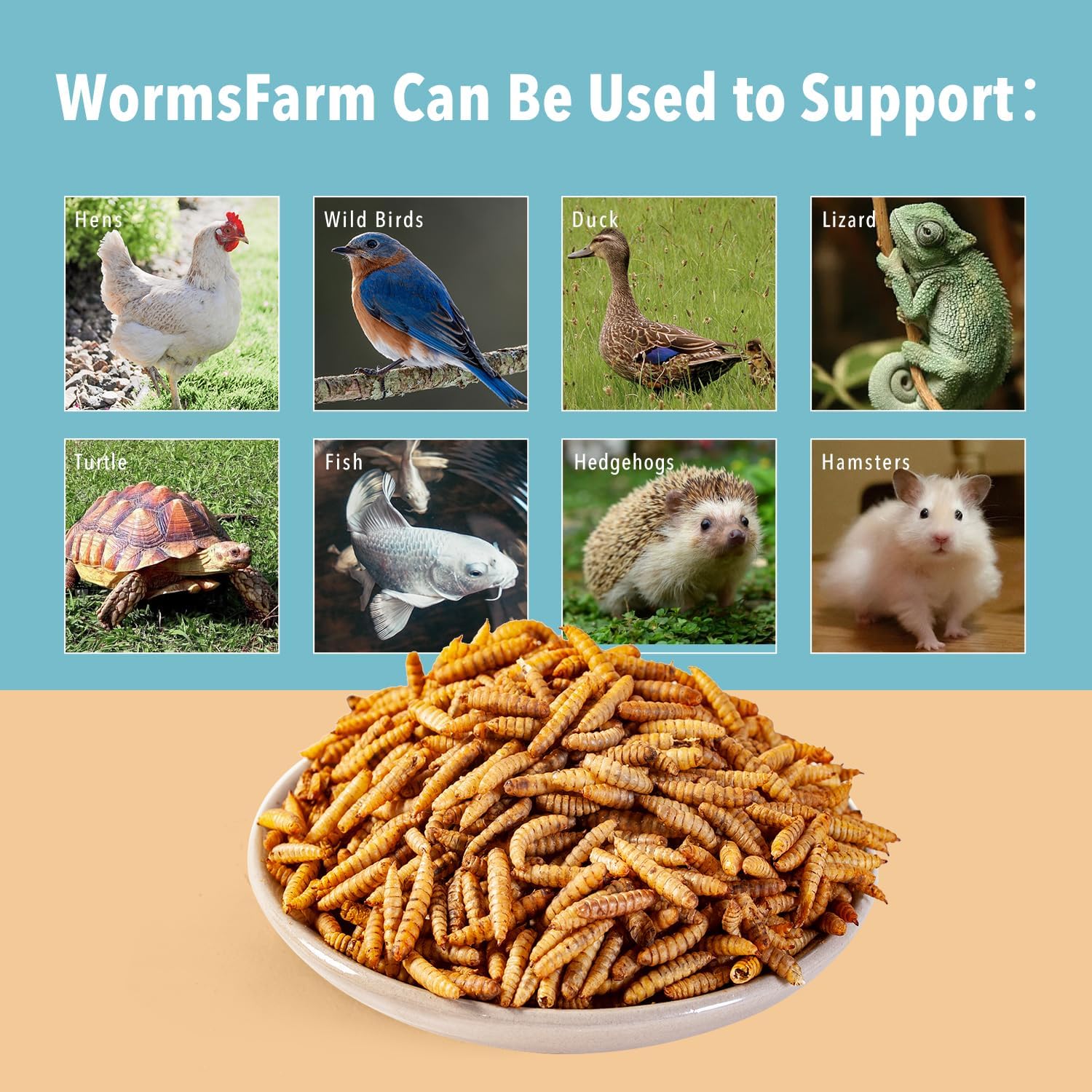 WormsFarm 11LB Dried Black Soldier Fly Larvae,Chicken Feed More Calcium Than Mealworms for Chickens,Laying Hens,Blue Birds