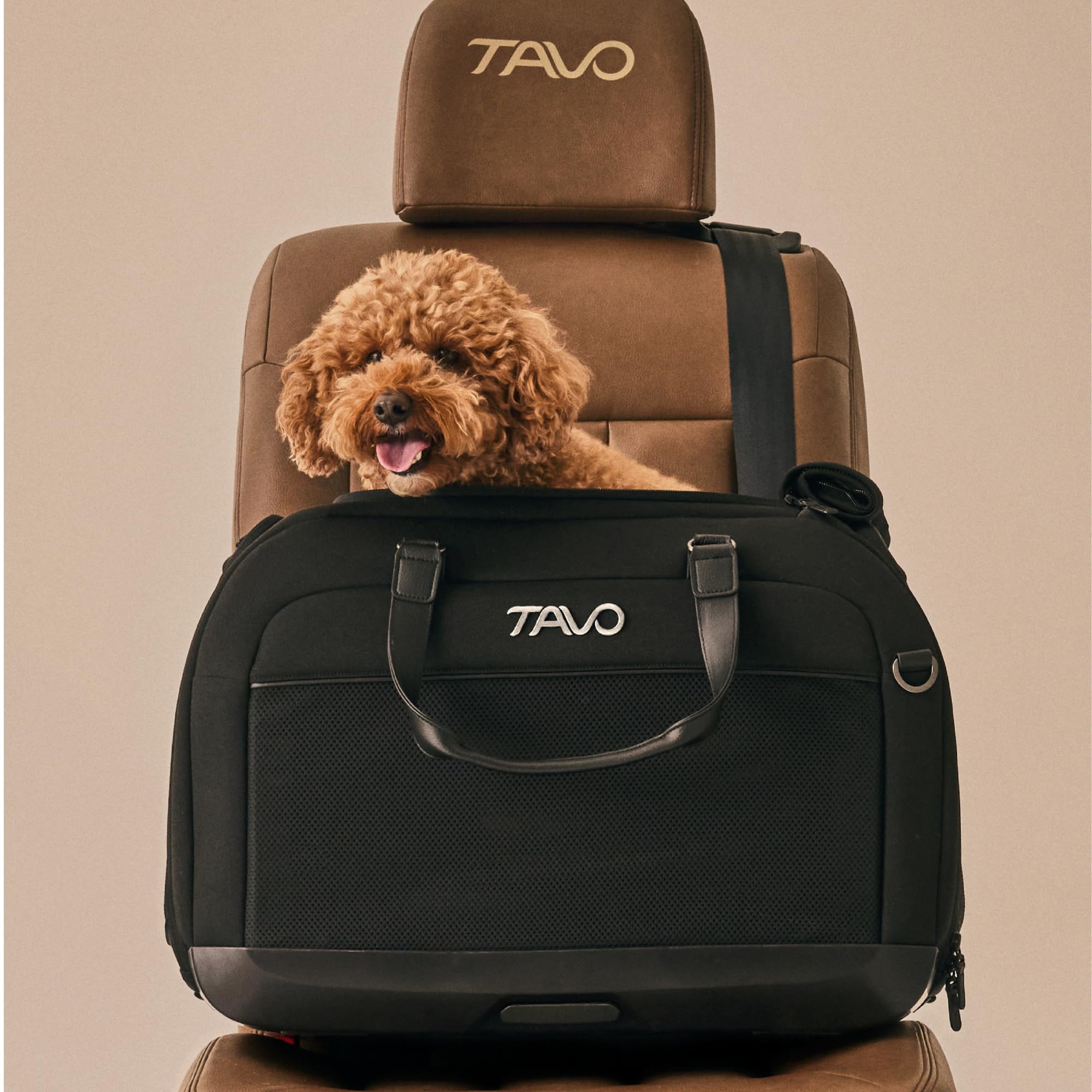 Tavo Hendrick Tragetasche Hund, ISOFIX, Für Hunde & Katzen bis 20,4 kg