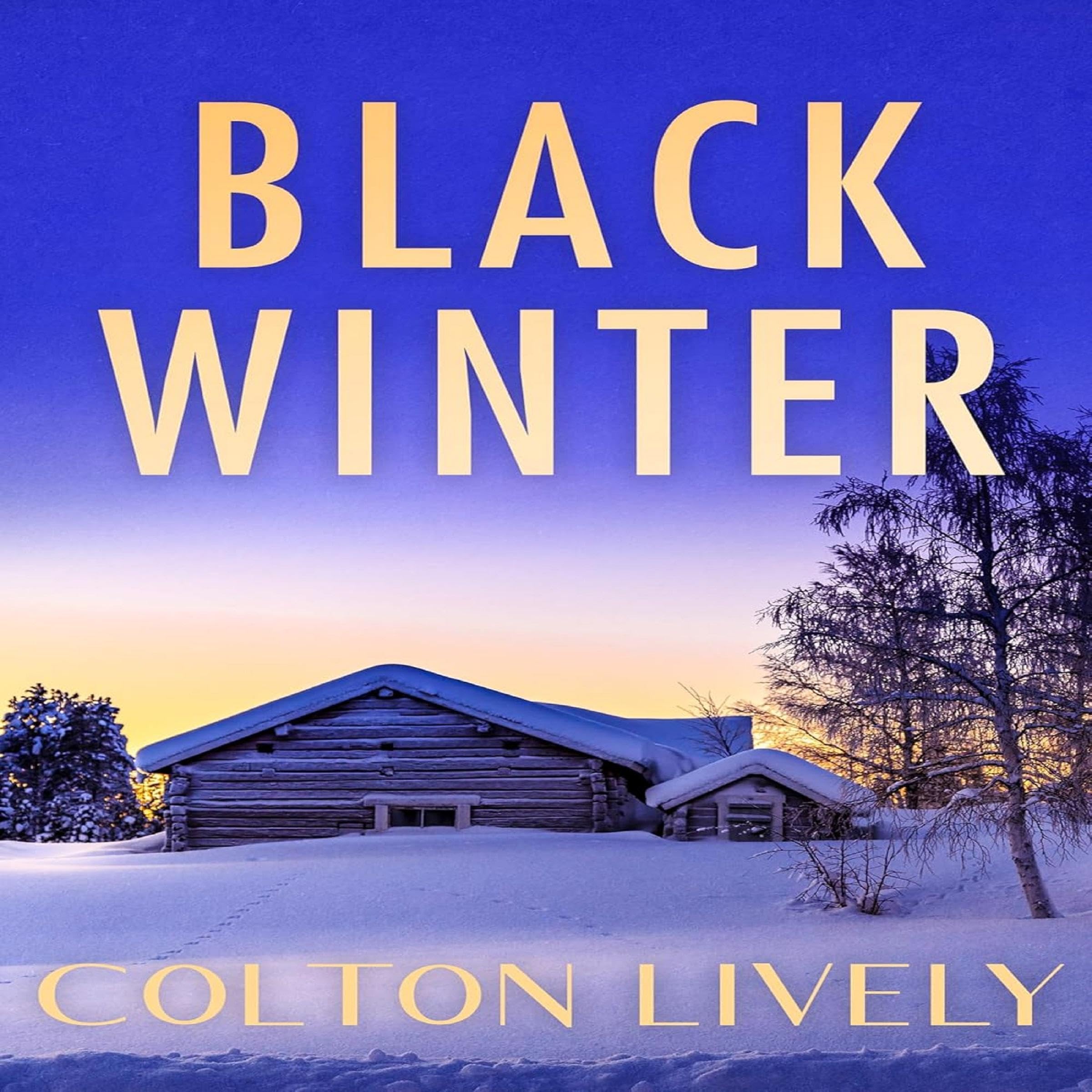 Cover art for Black Winter