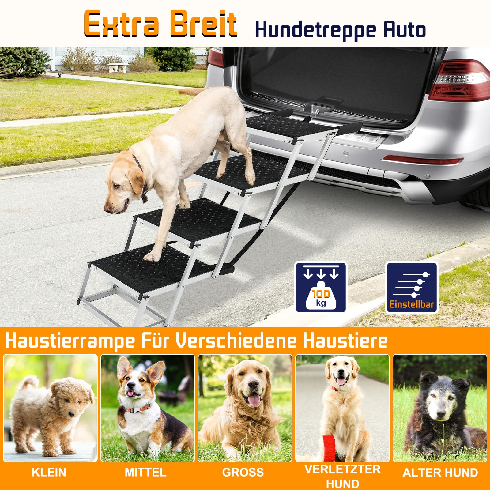 grnlippmuschel hundefutter Nassfutter Rind: Gesunde Vollnahrung fr Hunde
