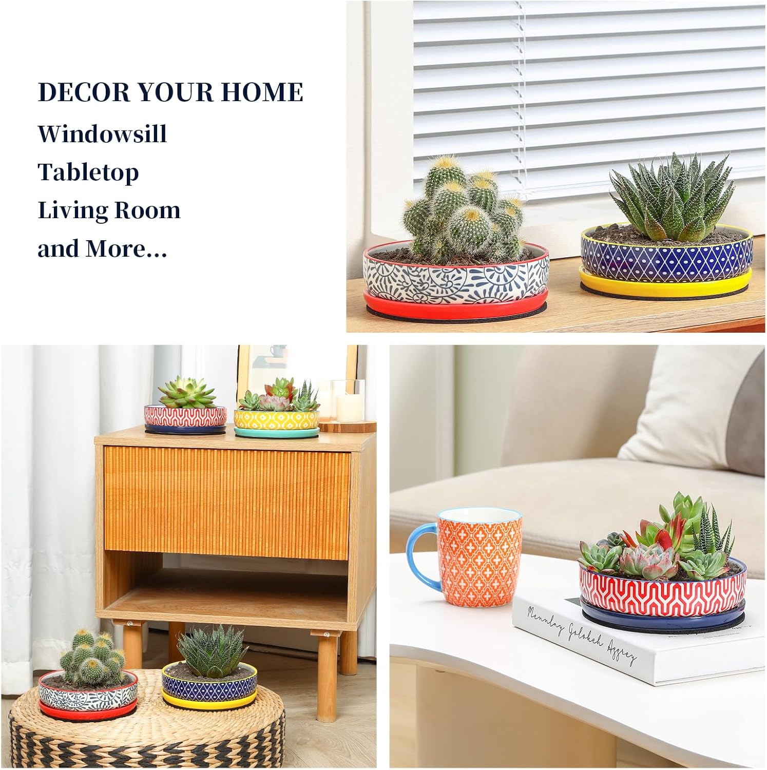 Selamica Ceramic Succulent Pots, Shallow Succulent Planters with Drainage Hole & Saucer, Indoor Plant Pots for Cactus, Home Decor，Assorted Colors,6 inch，Set of 4