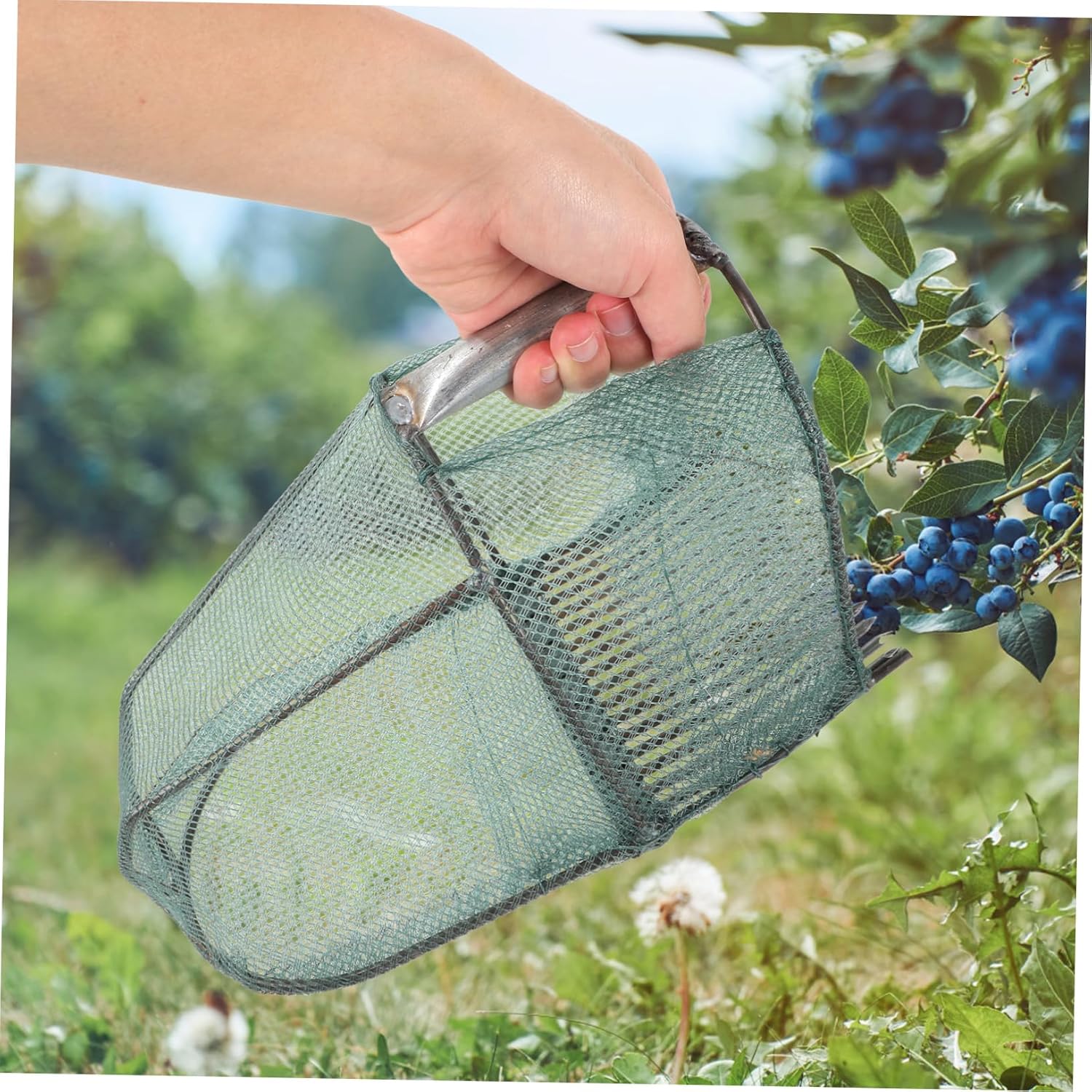 VICASKY Blueberry Picker with Handle 16-Prong Fruit Picking Device Ergonomic Garden Tool for Easy Harvesting of Blueberries Lightweight and Portable Design