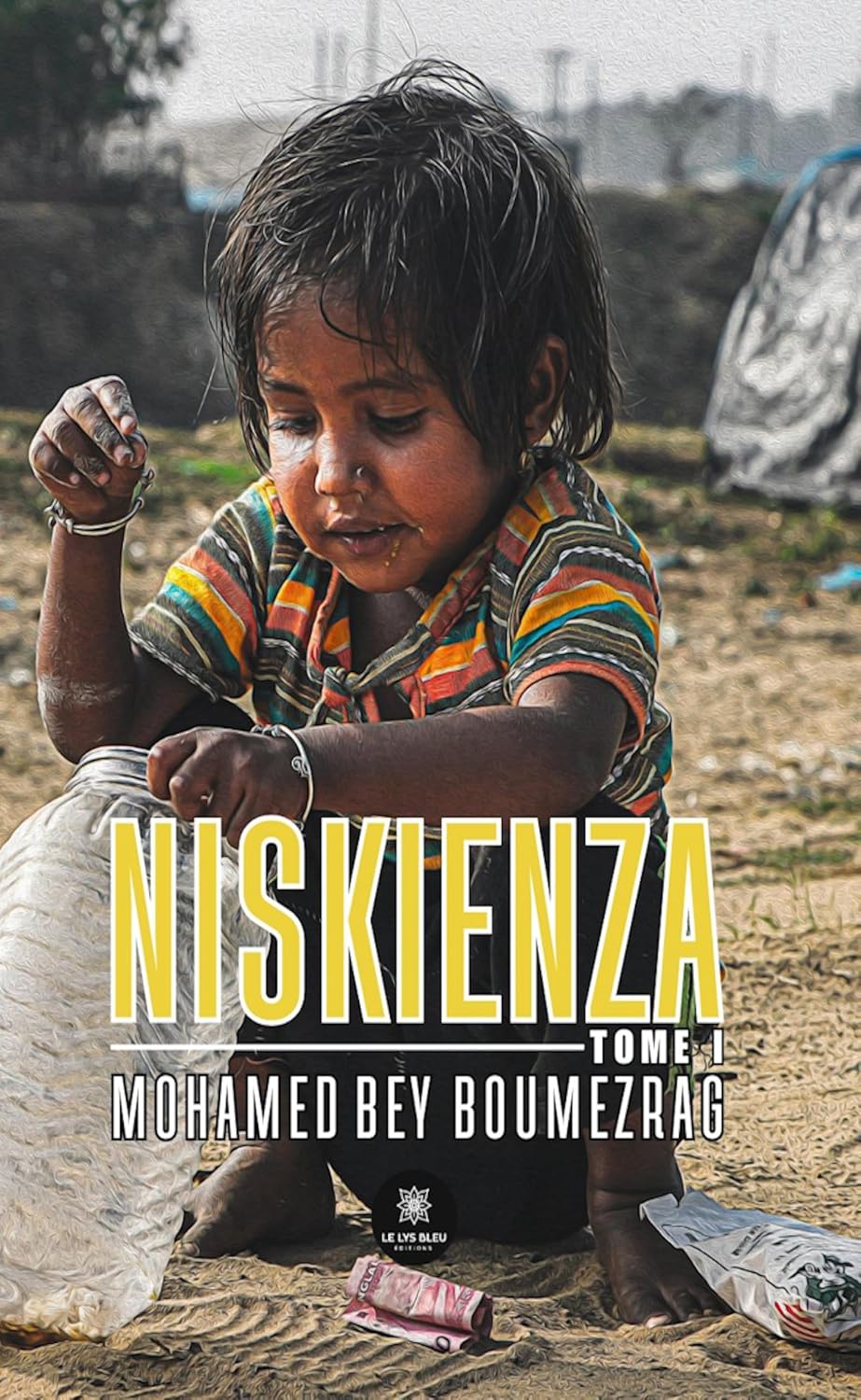 Niskienza - Tome 1 (French Edition)