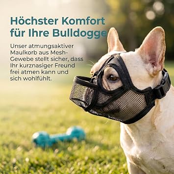 French Bulldog Muzzle Dog Muzzle with Short Snout Mask Breathable Mesh Muzzle for Dogs with Flattened (M Black)
