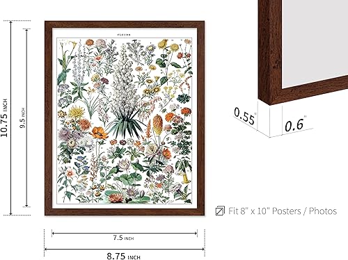 Miniatura 355 de Poster Master Póster vintage de orquídea, estampado de flores retro, arte de pared de plantas exóticas, arte botánico, regalo para hombres y