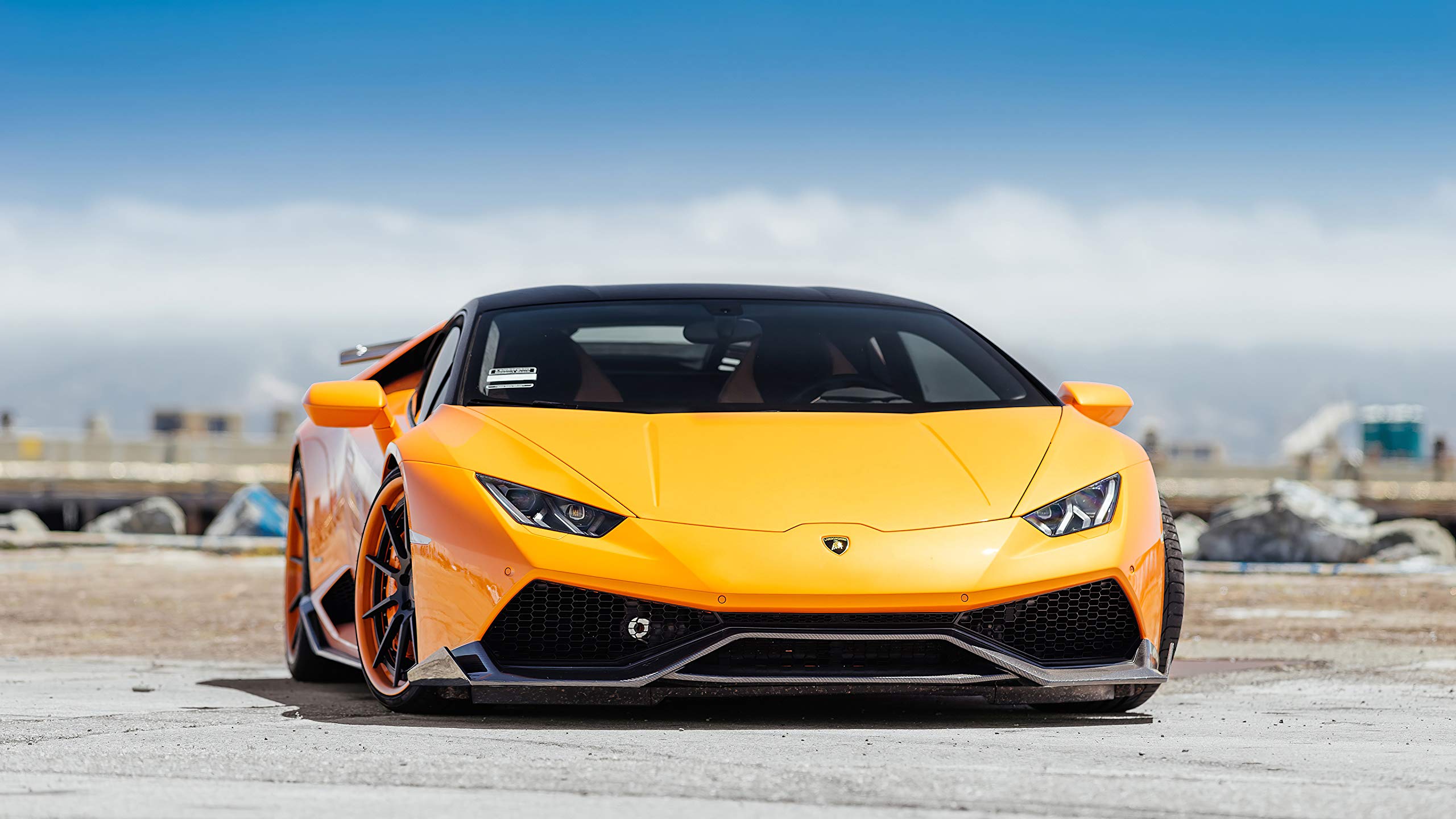 Amazon.com: Iconic Arts Laminated 42x24 Poster: Lamborghini