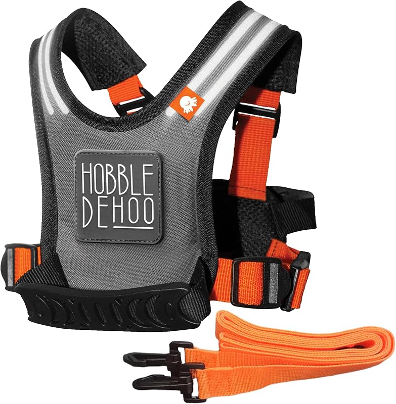 Autism Safety Harness with leash for Kids 2–7 | Walking Safety Vest with Grab Handles for Wandering Prevention